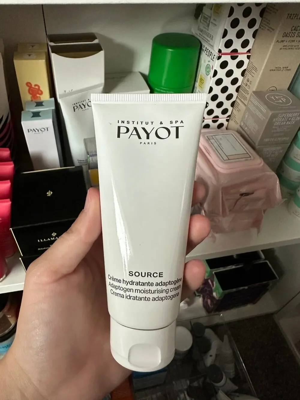 Payot Source Adaptogen Moisturising Cream